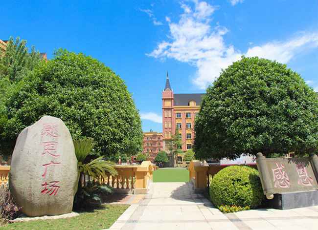 成都希望职业学校与四川五月花技师学院是什么关系